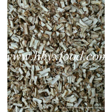 Getrockneter Shiitake Mushroom Granule Spawn